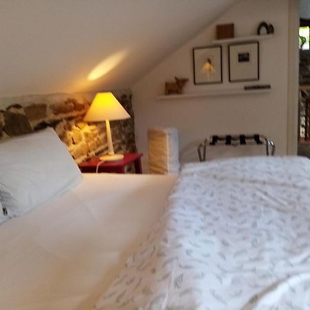 Bed and Breakfast Le Grand Guillaume Saint-Sornin-Lavolps Exterior foto