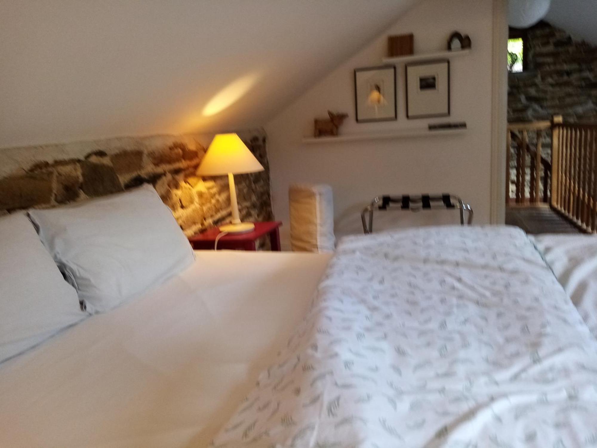 Bed and Breakfast Le Grand Guillaume Saint-Sornin-Lavolps Exterior foto